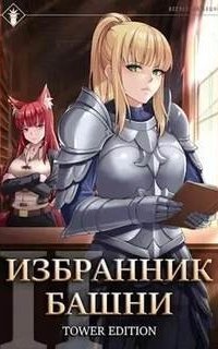 обложка аудиокниги Избранник Башни. Том 2