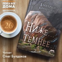обложка аудиокниги Ниже... темнее...