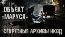 обложка аудиокниги Секретные архивы НКВД. Объект 