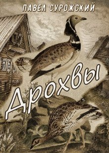 обложка аудиокниги Дрохвы