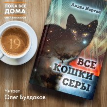 обложка аудиокниги Все кошки серы