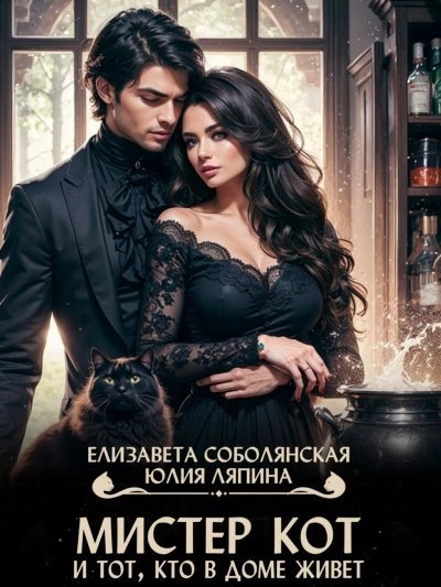 обложка аудиокниги Мистер Кот и тот кто в доме живет