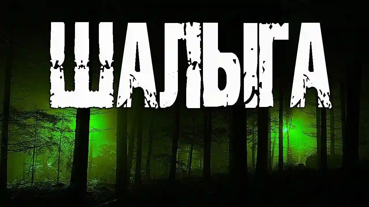 обложка аудиокниги Шалыга