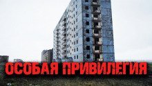 обложка аудиокниги Особая привилегия