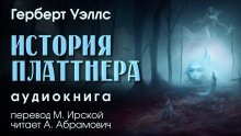 обложка аудиокниги История Платтнера