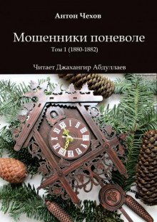 обложка аудиокниги Мошенники поневоле