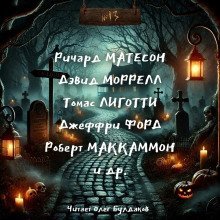 обложка аудиокниги №13