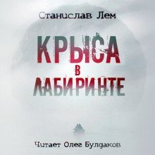 обложка аудиокниги Крыса в лабиринте