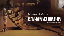 обложка аудиокниги Случай из жизни