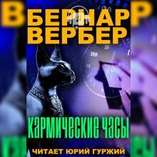 обложка аудиокниги Кармические часы