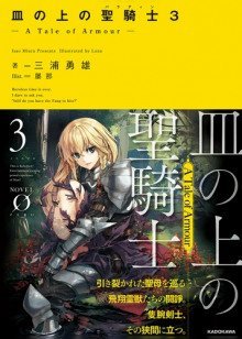 обложка аудиокниги Паладин на блюде -История брони- 3