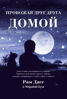 обложка аудиокниги Провожая друг друга домой