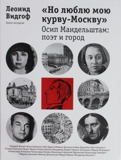 обложка аудиокниги «Но люблю мою курву