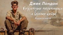 обложка аудиокниги Бездомные мальчишки и весёлые коты