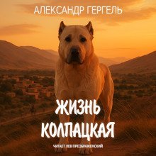 обложка аудиокниги Жизнь колпацкая