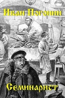 обложка аудиокниги Семинарист