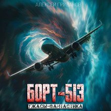 обложка аудиокниги Борт-513
