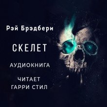 обложка аудиокниги Скелет