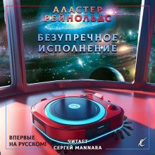 обложка аудиокниги Безупречное исполнение