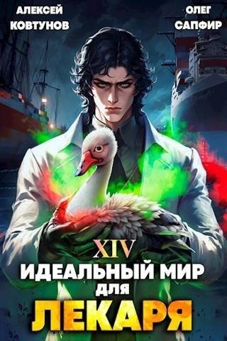 обложка аудиокниги Идеальный мир для Лекаря 14