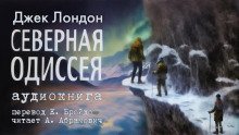 обложка аудиокниги Северная Одиссея