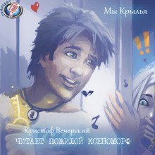 обложка аудиокниги Мы Крылья