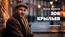 обложка аудиокниги Зов крыльев