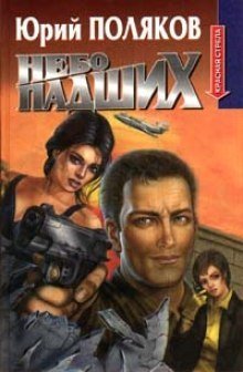 обложка аудиокниги Небо падших