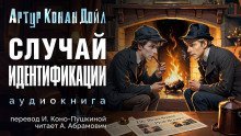 обложка аудиокниги Случай идентификации