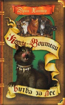 обложка аудиокниги Битва за лес