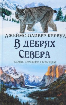 обложка аудиокниги В дебрях севера