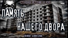 обложка аудиокниги Вовка