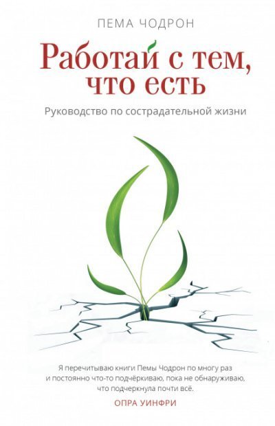 обложка аудиокниги Работай с тем, что есть. Руководство по сострадательной жизни