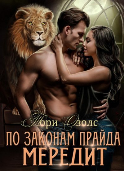 обложка аудиокниги Мередит