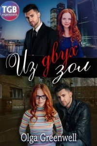 обложка аудиокниги Братья и Сёстры 2. Из двух зол