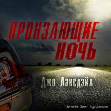 обложка аудиокниги Пронзающие ночь