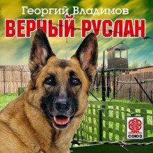обложка аудиокниги Верный Руслан