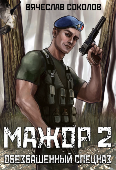 обложка аудиокниги Обезбашенный спецназ