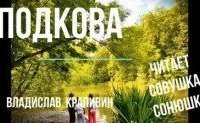 обложка аудиокниги Подкова