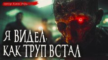 обложка аудиокниги Общество чистых тарелок