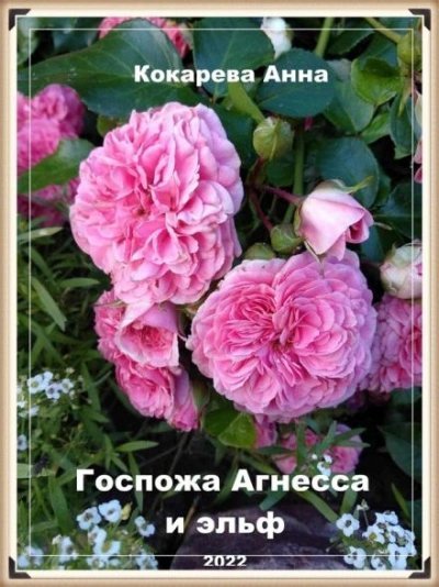 обложка аудиокниги Госпожа Агнесса и эльф