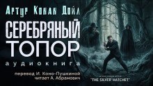 обложка аудиокниги Серебряный топор