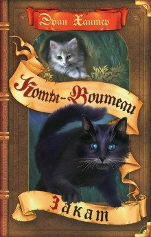 обложка аудиокниги Закат