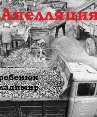 обложка аудиокниги Апелляция