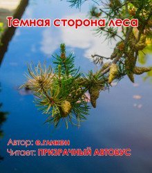 обложка аудиокниги Темная сторона леса