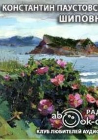 обложка аудиокниги Шиповник