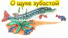 обложка аудиокниги О щуке зубастой