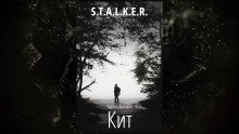 обложка аудиокниги S.T.A.L.K.E.R. Кит