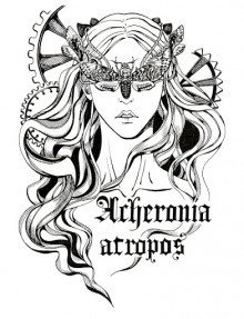 обложка аудиокниги В поиске Холи