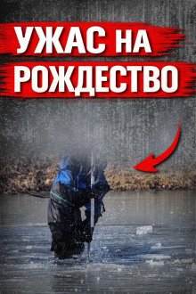 обложка аудиокниги Исчезла в Рождество